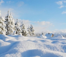 10 цікавих фактів про зиму